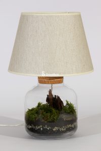 lampa terrarium rybkadesign